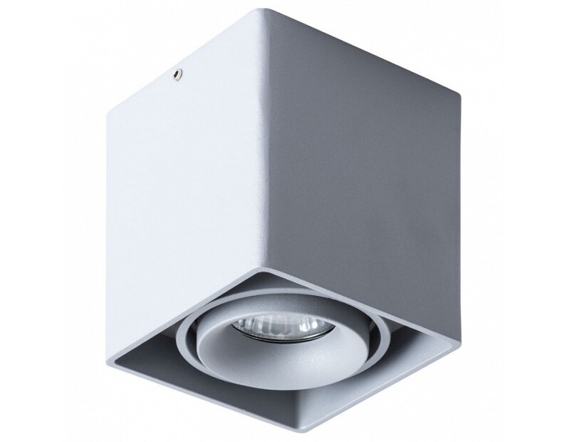 Накладной светильник Arte Lamp Pictor A5654PL-1GY