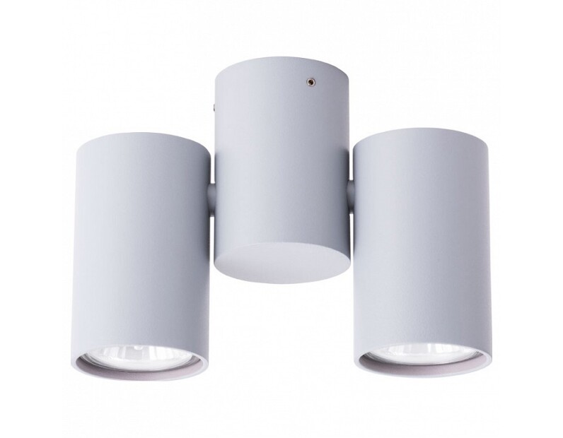 Спот Arte Lamp Gavroche A1511PL-2GY