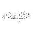 Lightstar 225440 Cветильник