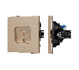 Механизм компьютерной розетки SCT-TENDO-MPC1-PL-GD (RJ-45, CAT6) (Arlight, -)