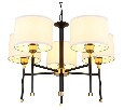 Подвесная люстра Arte Lamp Jamie A4090LM-5BK
