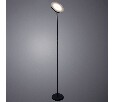 Торшер Arte Lamp Sceptrum A1822PN-1BK