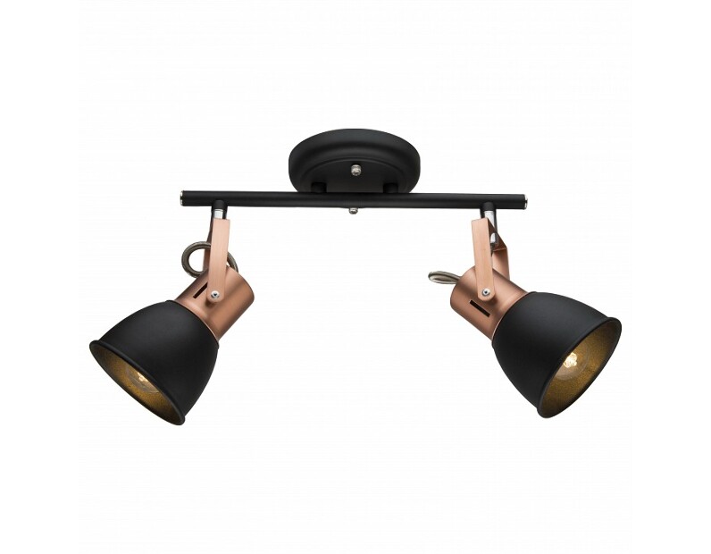 Спот Arte Lamp Jovi A1677PL-2BK