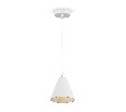 Подвесной светильник Freya Falke Market FR8001PL-01WG