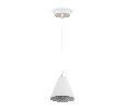 Подвесной светильник Freya Falke Market FR8001PL-01WG