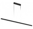 Подвесной светильник Denkirs RAYLINE DK6733-BK