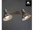 Спот Arte Lamp Cono A5218AP-2WG