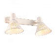 Спот Arte Lamp Cono A5218AP-2WG