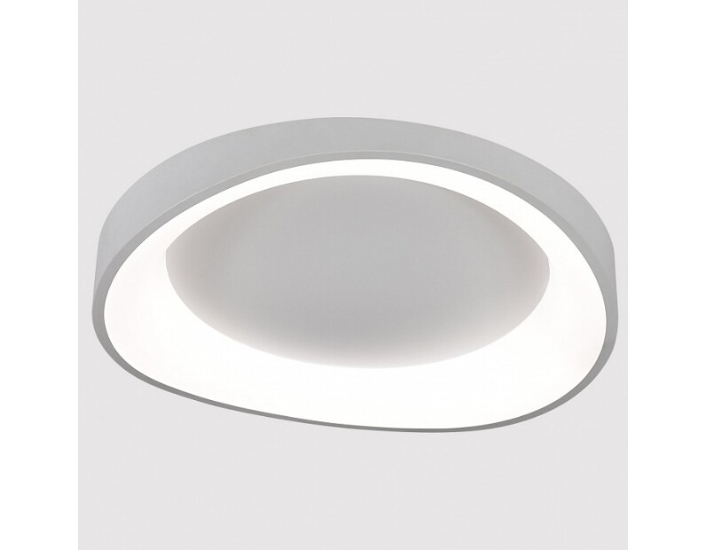 Накладной светильник Arte Lamp None A2698PL-60WH