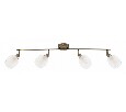 Спот Arte Lamp Biham A3184PL-4AB