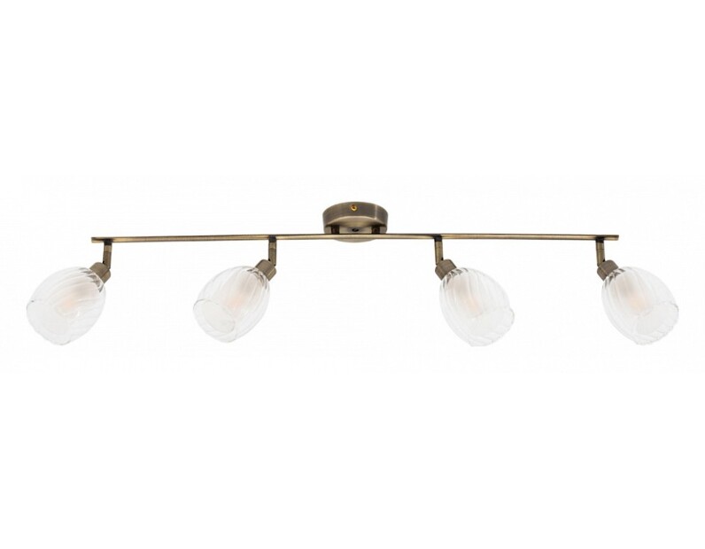 Спот Arte Lamp Biham A3184PL-4AB
