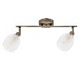 Спот Arte Lamp Biham A3184PL-2AB
