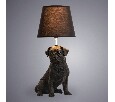 Настольная лампа декоративная Arte Lamp Bobby A1512LT-1BK