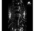 Подвесная люстра Arte Lamp Teatro A3964LM-6BK