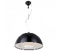 Подвесной светильник Arte Lamp Dome A4175SP-1BK