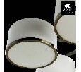 Потолочная люстра Arte Lamp Manhattan A9495PL-5AB