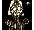 Подвесная люстра Arte Lamp Zanzibar A8390LM-5AB