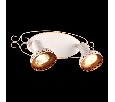 Спот Arte Lamp Focus A5219AP-2WG