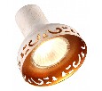 Спот Arte Lamp Focus A5219AP-2WG