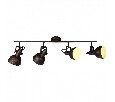 Спот Arte Lamp Martin A5215PL-4BR