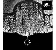 Накладной светильник Arte Lamp Diletto A8565PL-4CL
