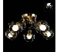 Люстра на штанге Arte Lamp Alessandra A5004PL-5AB