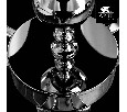 Подвесная люстра Arte Lamp Promessa A3074LM-6CC