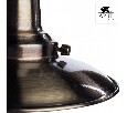 Подвесная люстра Arte Lamp Fisherman A5518LM-5AB