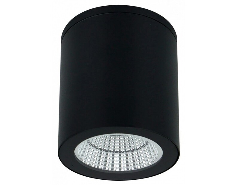 Накладной светильник Arte Lamp TORCULAR A1313PF-1BK
