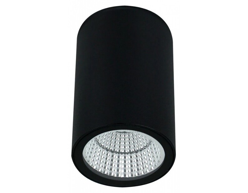 Накладной светильник Arte Lamp TORCULAR A1307PF-1BK