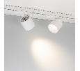 Светильник LGD-DYKE-4TR-R100-36W Day4000 (WH, 20 deg, 230V, DALI) (Arlight, IP20 Металл, 5 лет)