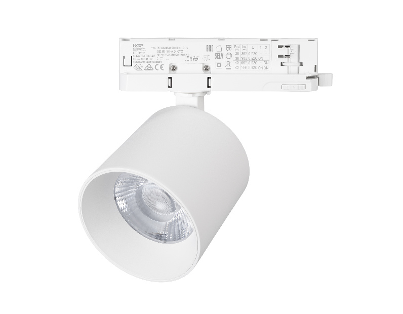 Светильник LGD-DYKE-4TR-R100-36W Day4000 (WH, 20 deg, 230V, DALI) (Arlight, IP20 Металл, 5 лет)