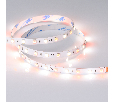 Лента RT-B60-10mm 24V RGBW-Day (14.4 W/m, IP20, 5m) (Arlight, Открытый)