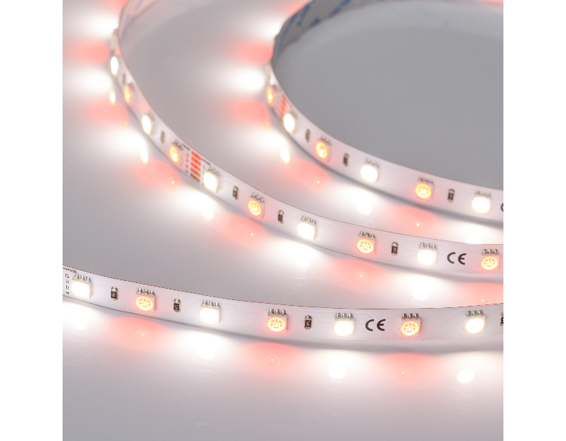 Лента RT-B60-10mm 24V RGBW-Day (14.4 W/m, IP20, 5m) (Arlight, Открытый)