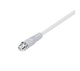 Коннектор питания ARL-WAVE-1615-CON-POWER-MALE-2PIN-WHT (Arlight, IP67 Пластик, 3 года)