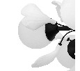 Люстра подвесная Ceramo BW Lightstar 799127