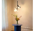 Люстра подвесная Ceramo BW Lightstar 799067