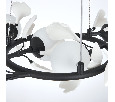 Люстра подвесная Ceramo BW Lightstar 799067