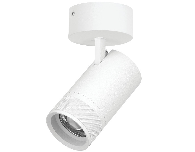 Светильник накладной 40W 2800LM 20-55G с адаптером Canno Pro Lightstar C4406SO