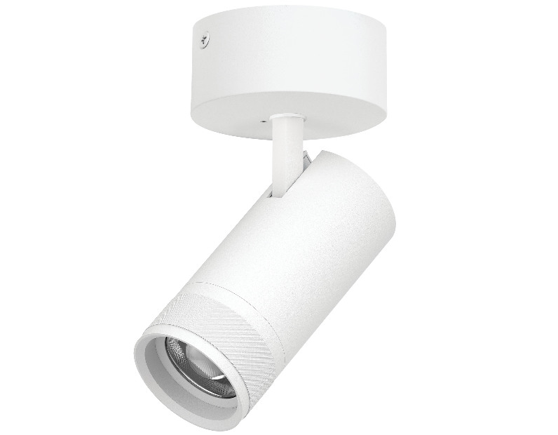 Светильник накладной 30W 2100LM 20-55G с адаптером Canno Pro Lightstar C4306SO