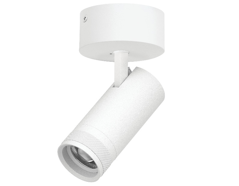 Светильник накладной 20W 1400LM 20-55G с адаптером Canno Pro Lightstar C4206SO