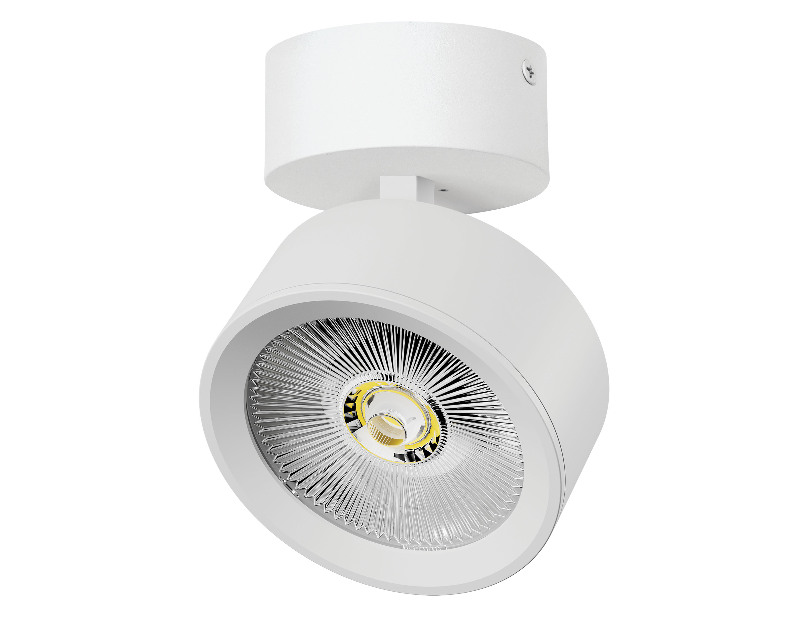 Светильник накладной LED 30W с накладной чашей Alta Pro Lightstar A5646SO