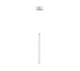 Подвесной светильник Maytoni Ray P021PL-L10W