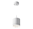 Подвесной светильник Maytoni Polar P088PL-GX53-W