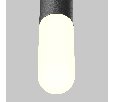 Подвесной светильник Maytoni Mist P101PL-L300-12W3K-B