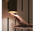 Настенный светильник (бра) Maytoni Focus Design C069WL-02B
