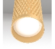 Подвесной светильник Maytoni Focus Design P038PL-01G