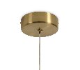 Подвесной светильник Freya Mote FR5601PL-01TR