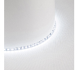 Лента светодиодная 120SMD(2835)/м 11Вт/м 24V 5000*5*1.5мм 4000K, LS505 FERON
