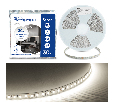 Светодиодная LED лента Feron LS502, 180SMD(2835)/м 16Вт/м 24V 30000*10*1.22мм 4000К 30м IP20